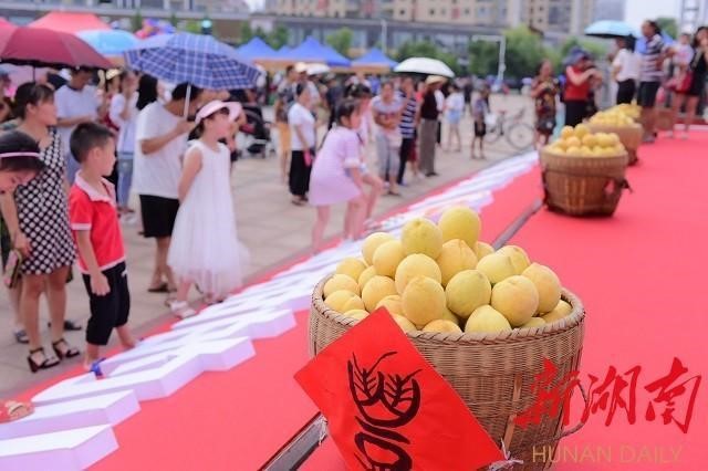 洪江市禹甜科技有限公司,黔陽瞐農產品的批發零售